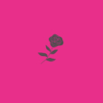 pink-rose-logo-design-johannesburg-09