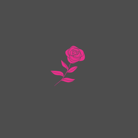 pink-rose-logo-design-johannesburg-10