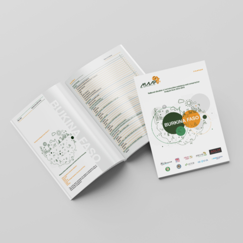 medical annual report design and layout burkina faso africa