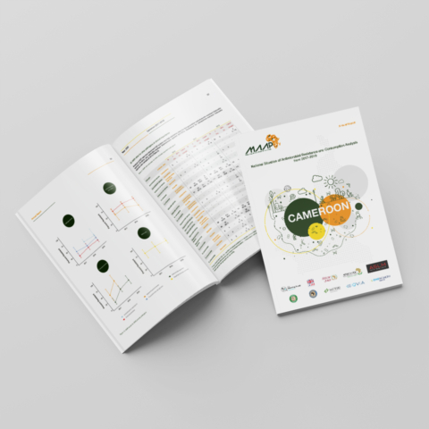 medical annual report design and layout cameroon africa