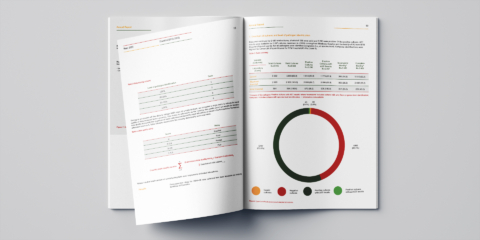 medical annual report design and layout eswatini