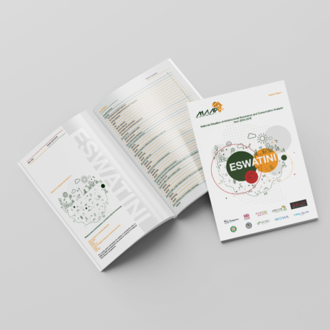 medical annual report design and layout eswatini africa