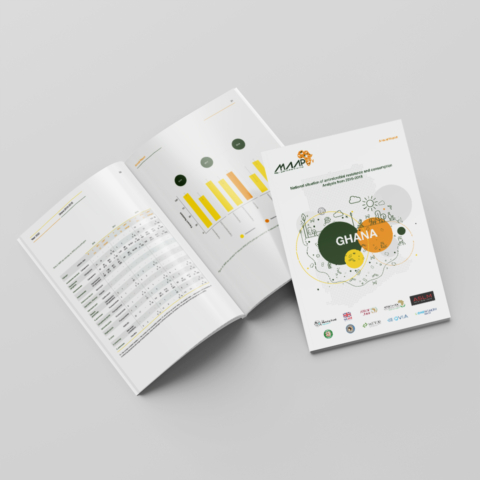 medical annual report design and layout ghana africa