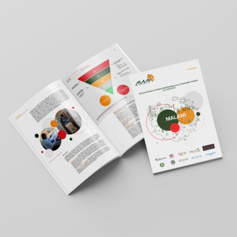 medical annual report design and layout malawi africa cover