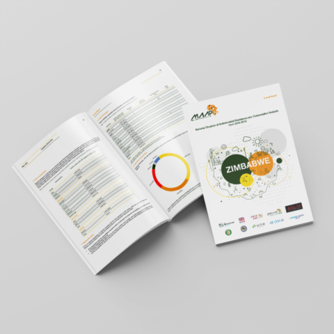 medical annual report design and layout zimbabwe africa