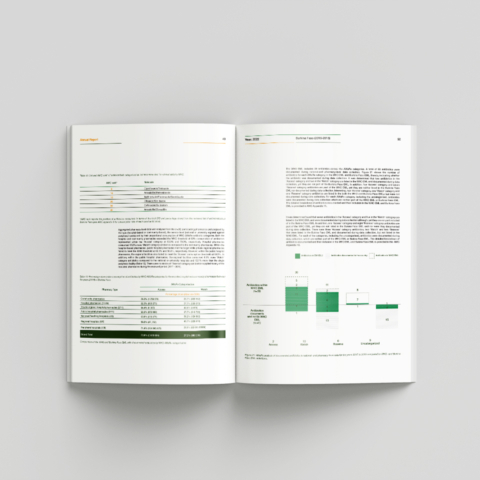 medical annual report design burkina faso africa