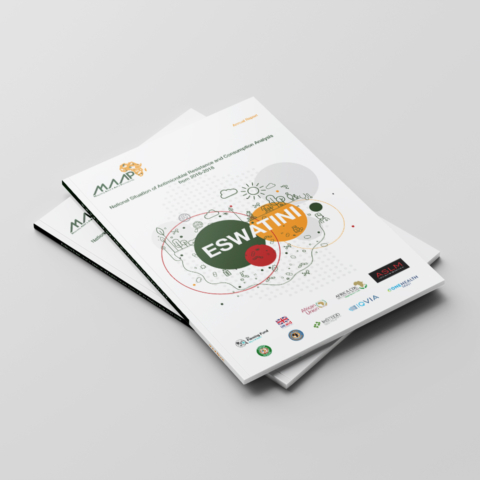 medical annual report design eswatini southafrica