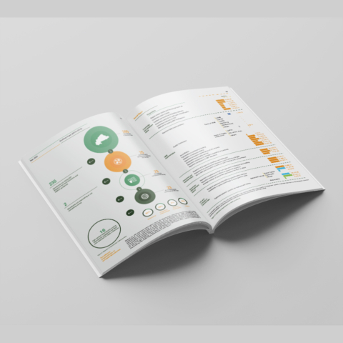 medical research annual report design burkina faso