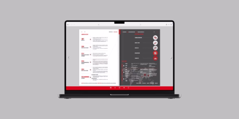 Digital Trade and Distribution Company Profile Design in Africa South Africa Mozambique Botswana Nambia Zimbabwe Anglo 04