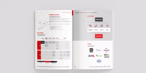Trade and Distribution Company Profile Design in Africa South Africa Mozambique Botswana Nambia Zimbabwe Anglo 12 scaled