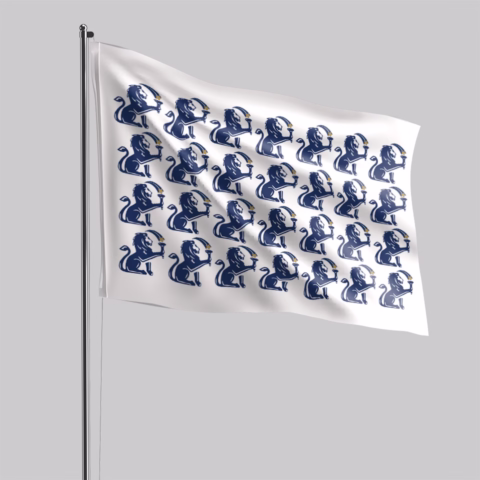 guest house logo design branding design south africa square flags 04