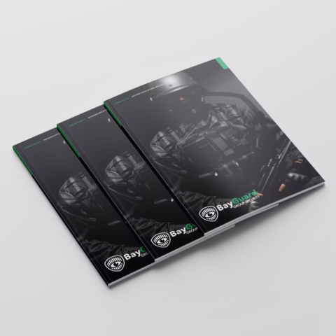 company profile design security service and protection companies south africa africa 02